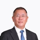 "산불 피해에 써주세요"...현대차그룹, 20억 기부 이미지