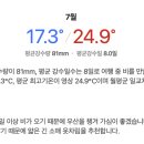 (주)래빗투어 네이버블로그