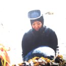 정동진민박 이미지