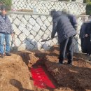 아워홈영남대학교의료원장례식장 | [영남대학병원장례식장-경산공원묘원]매장