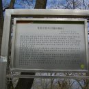 위전3리 Daum카페