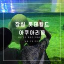 잠실 롯데월드 아쿠아리움 할인 주차 주말 방문 후기