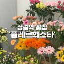 플레르희스타 - 구리시 건원대로34번길 32-29 | 삼송 꽃집 추천, 가성비+감성 다 잡은 ‘플레르희스타’ 내돈내산 후기