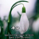 우수(雨水) 이미지