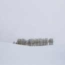 하얀세상 이미지