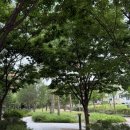 RIIZE POP-UP [ARCHIIVE²] 팝친자 옆집 엿보기