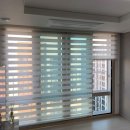 코아루(좌) 이미지