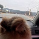 팔공산 세탁 이미지