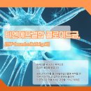 티엔에프(TNF) 네이버블로그