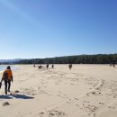 등기산스카이워크 이미지