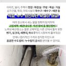 영선1동주민센터 이미지