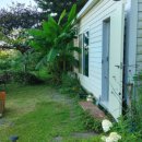 꿈의 정원 이미지