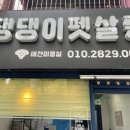 댕댕이펫살롱 이미지