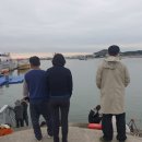 전곡항 드라이브, 서해랑 케이블카 제부도 투어 다녀온 리얼후기
