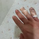 남당항방장수산 | 방장수산 2호점 천안 새조개 주꾸미샤브샤브 소식