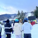 휘닉스 파크 이미지