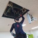 우석대부설유치원 이미지