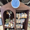 일산하이치과의원 | 경기도 북부권에서 가장 큰 아기용품 매장 일산베이비하우스 후기