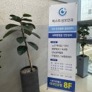 노원 안과, 퍼스트성모안과에서 스마트스마일라식 한 후기