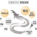 맛장어먹는날 이미지