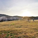 능안목장 이미지