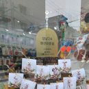 댕냥24 네이버블로그