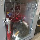 더 뷰티 독 이미지