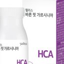 바른핏 이미지