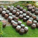 죽리토종식품 이미지