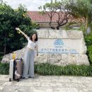 1657 | 일본 미야코지마 여행 항공권 예매 진에어 시모지시마 직항 탑승 후기