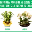 휴플라워 이미지
