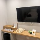 광안비치호텔 더엠 이미지