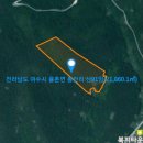 곰솔부동산공인중개사사무소 이미지