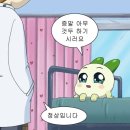 베이프큐 이미지