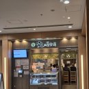 강 | 도쿄 요요기공원 시부야 메구로강 벚꽃길 후기