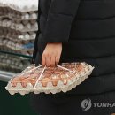 좋은계란 - 군산시 서수송안1길 12-1 | 좋은계란
