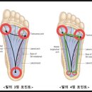 소새울역 이미지