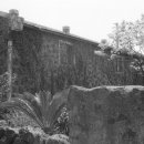 하천리-8 이미지