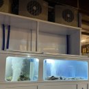 원화로1(서) | 서면술집 전포 원화랑 아구수육 해산물 맛집 캐치테이블 웨이팅