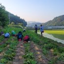 이종란농장 Daum카페