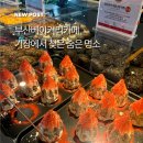 부산기장점 | 부산베이커리카페 기장에서 찾은 숨은 오션뷰 명소 애월빵공장 부산기장점 후기