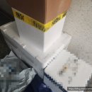 할머니 명절 선물 흑염소즙으로 유명한 한동녹용연구소