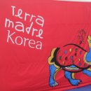 테라마드레 이미지