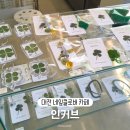 행운 | [대전용전동카페] 네잎클로버에 진심 인커브 주차 행운라떼 행운토스트 후기