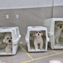 빙고하우스 이미지