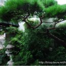 고젠 일식 이미지