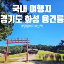 신문왕릉앞금어당 | [국내여행 당일치기/경기도 화성] 화성 융건릉 + 카페 스무시간