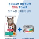 박스캣 | 힐스 고양이사료 어덜트 퍼펙트 웨이트 체중감량 도움 될까?