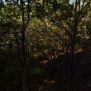 이양면사무소 이미지