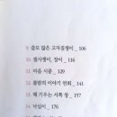 최지물포